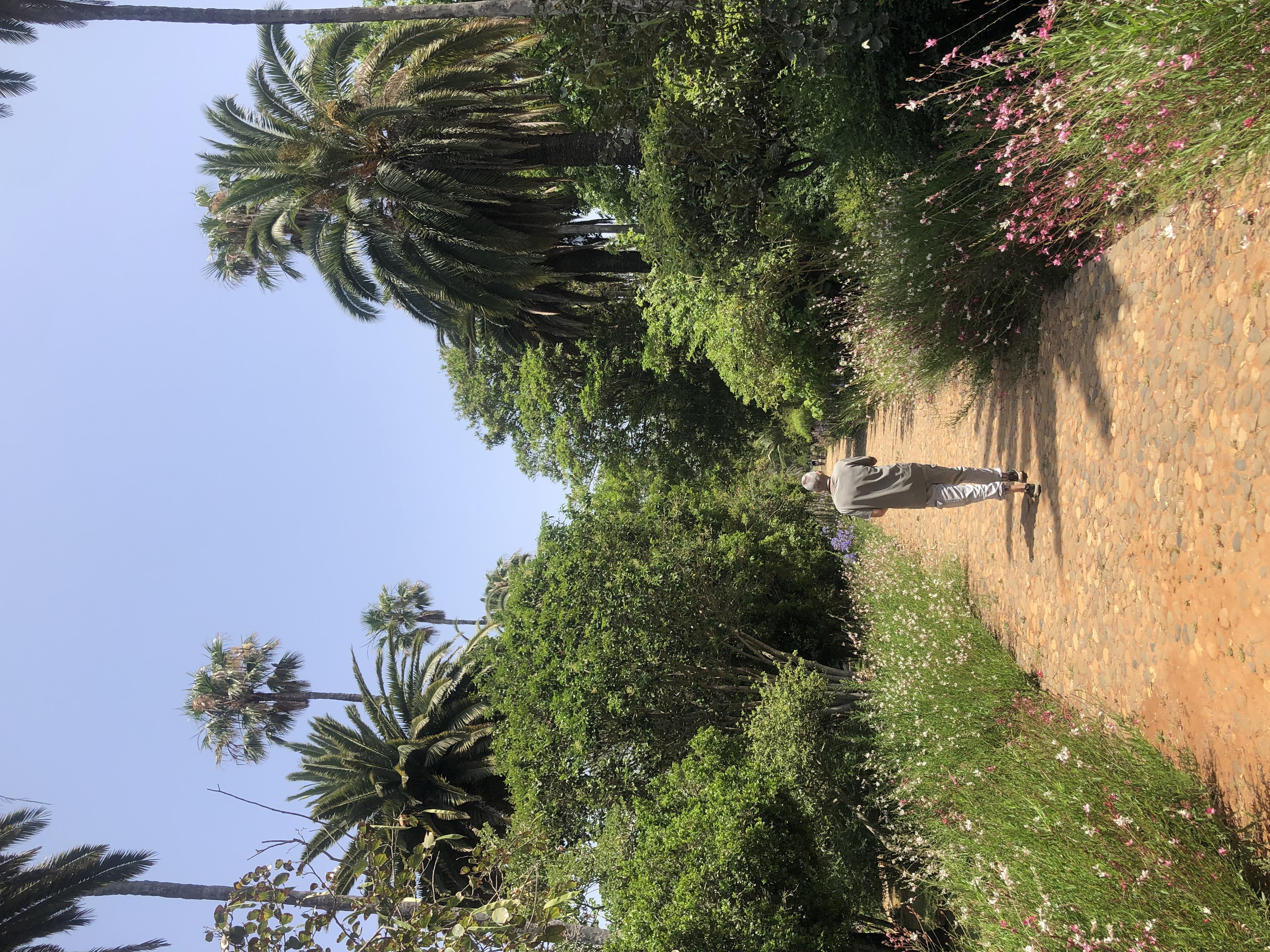 Hombre caminando por un parque botánico